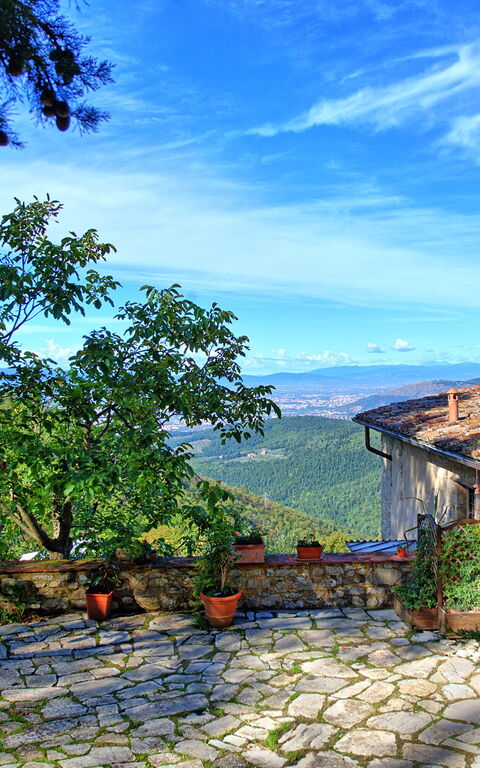 Villa Ancora: Hage, Utendørs