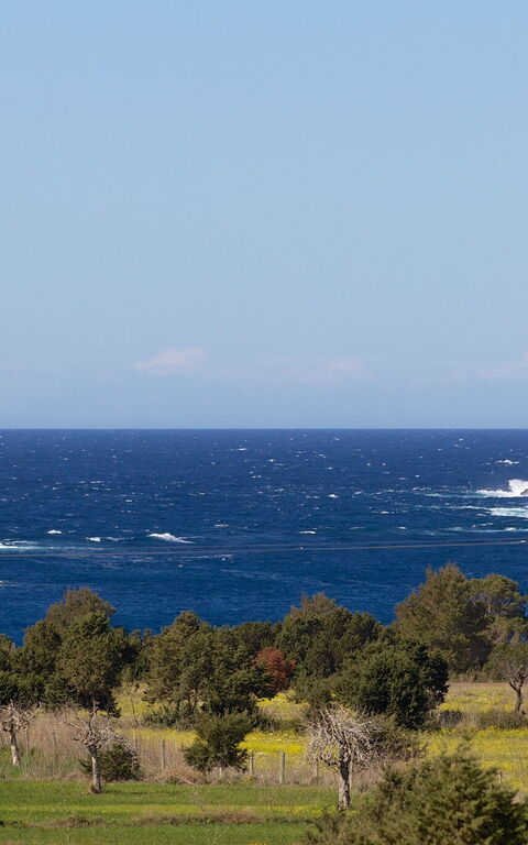 Cala Conta Dream: Hage, Utendørs, Visningar