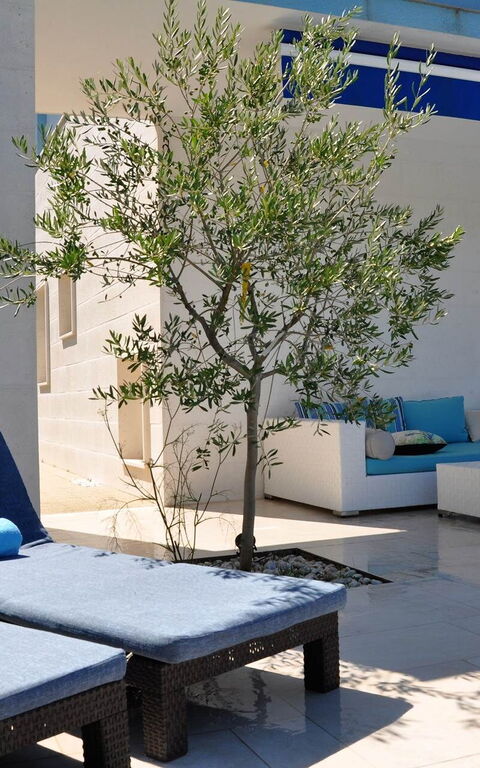 Villa Mermaid: Balkong / terrasse / uteplass, Eksteriør, Utendørs