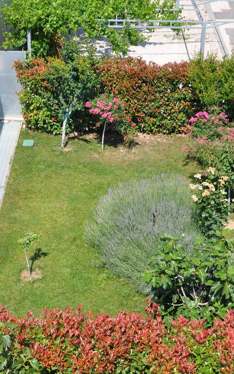 Villa Mermaid: Eksteriør, Hage, Utendørs