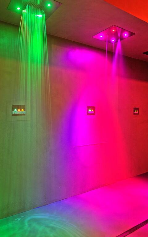 Villa Le Buche: Velferd