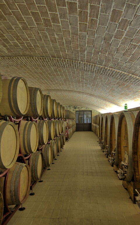 Villa Le Buche: Aktiviteter, Fasiliteter