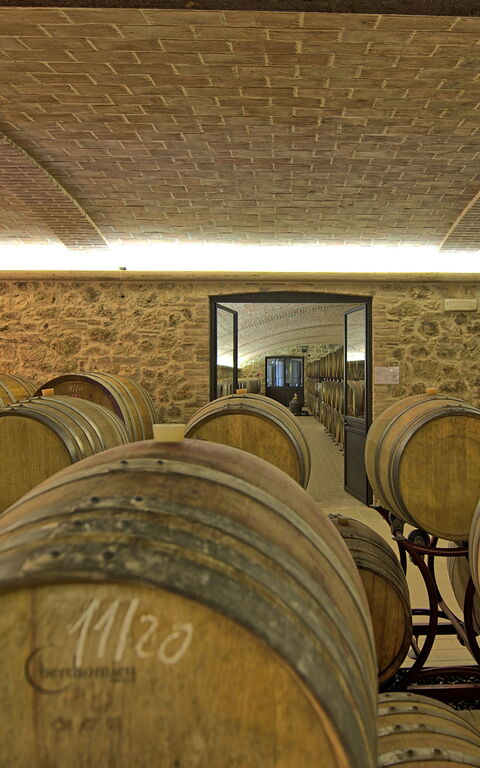 Villa Le Buche: Aktiviteter, Fasiliteter