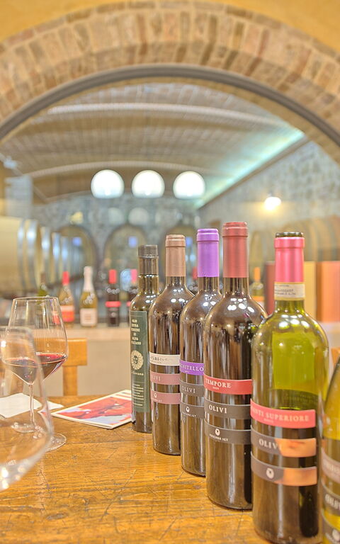 Villa Le Buche: Aktiviteter, Fasiliteter