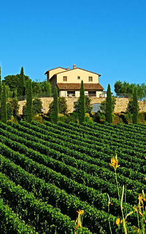 Villa Le Buche: Sommer, Utendørs, Visningar