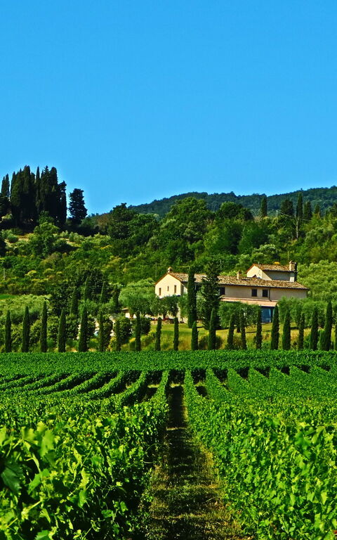 Villa Le Buche: Visningar