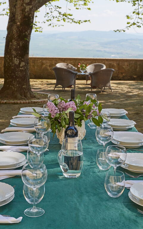 Villa Sorbaiano: Hage