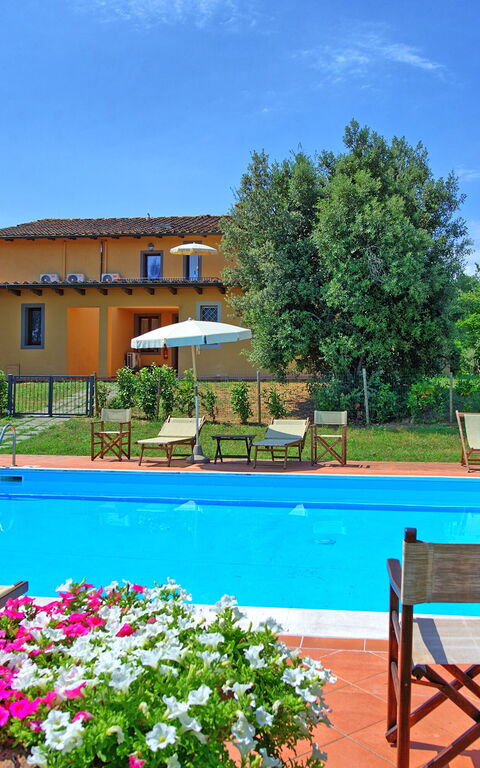 Nicola: basseng, Sommer, Utendørs