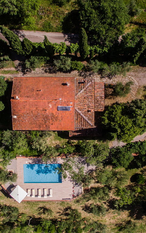 Casale Condottiero: Visningar