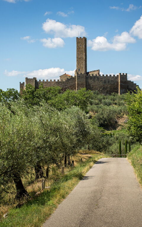 Casale Condottiero: Fasiliteter, Visningar