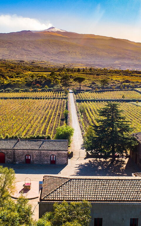 Etna Retreat: Utendørs, Visningar