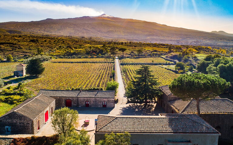 Etna Retreat: Utendørs, Visningar