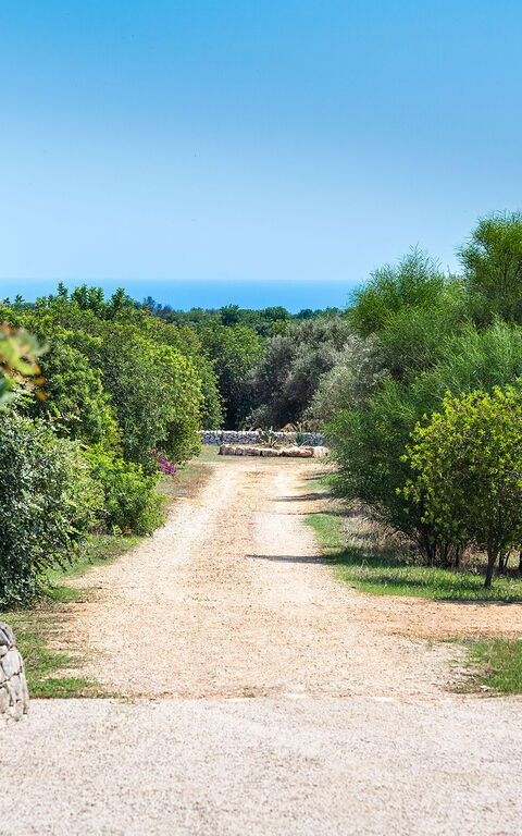 Villa Dimora Pura: Hage, Utendørs