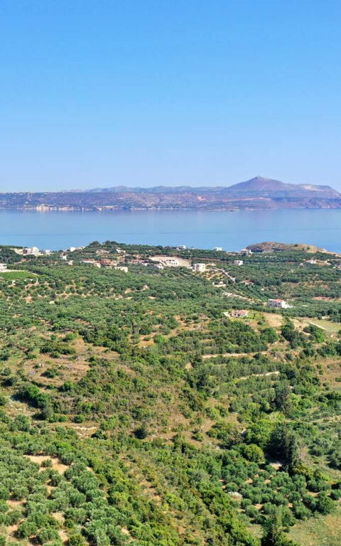 Villa Eftychia: Visningar