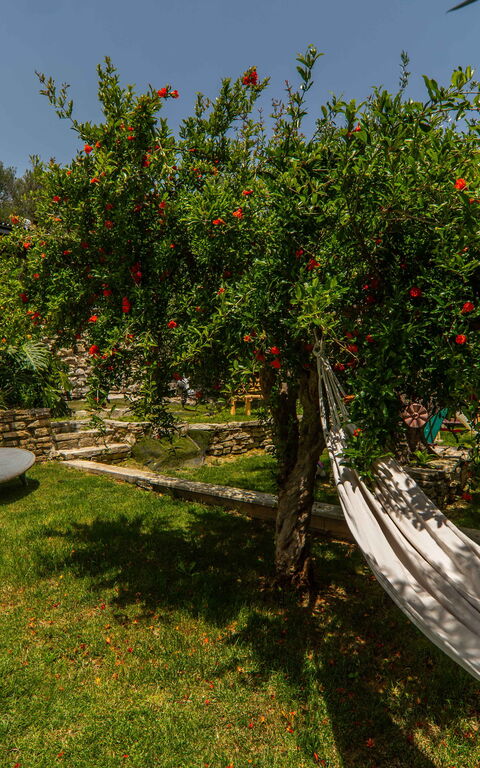 Villa Eftychia: Hage, Utendørs