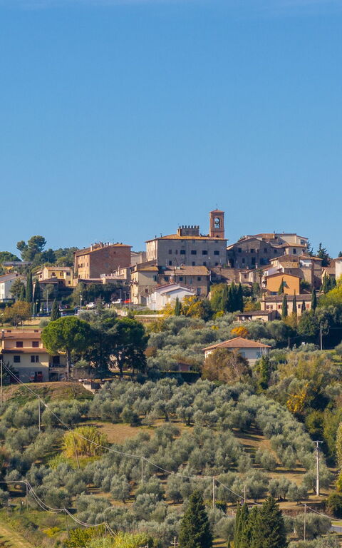 Villa Renina: Visningar