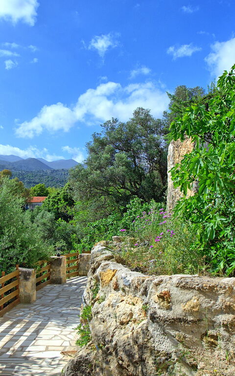 Villa Vicilla: Utendørs