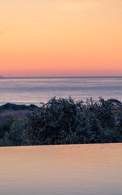 Villa Ebellina: basseng, Visningar