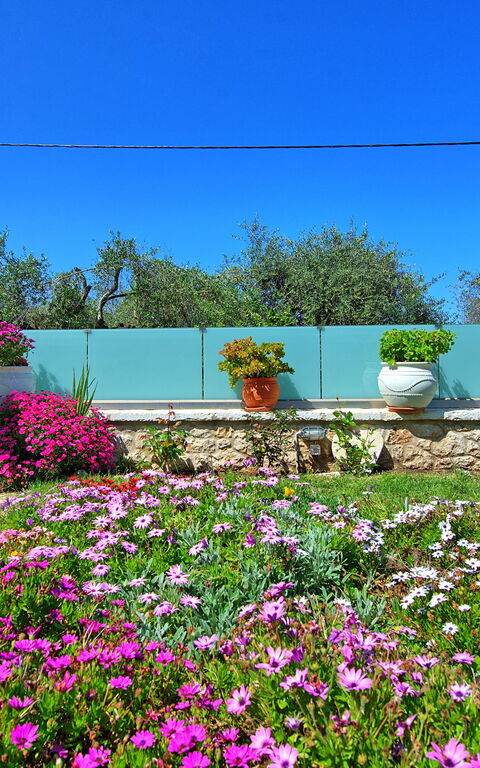 Villa Elaia: Hage, Utendørs