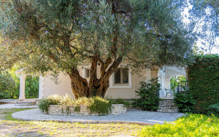 Villa Dimitris: Hage