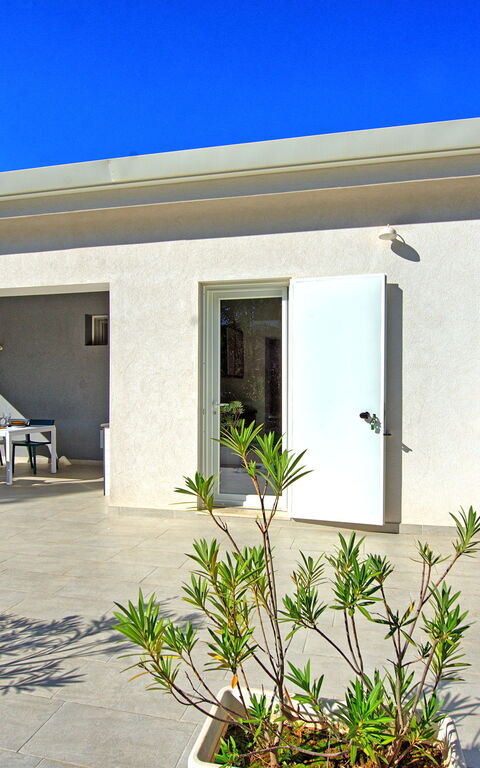 Nerodavola: Eksteriør, Sommer