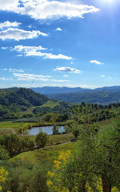 San Guido: Utendørs, Visningar