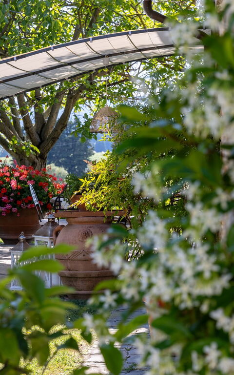 San Guido: Hage, Utendørs