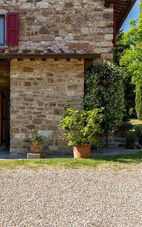 San Guido: Eksteriør, Hage, Utendørs