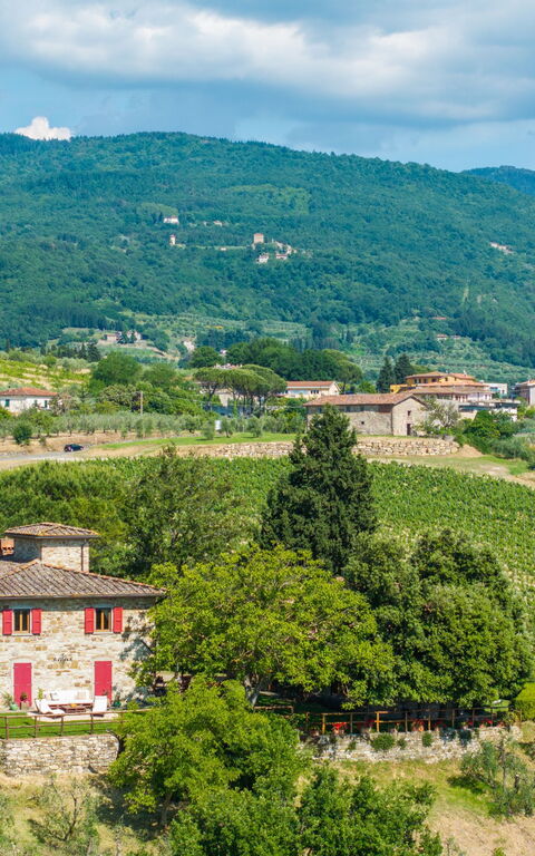 San Guido: Utendørs, Visningar