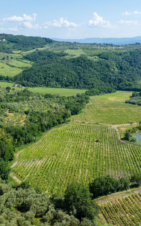 San Guido: Utendørs, Visningar