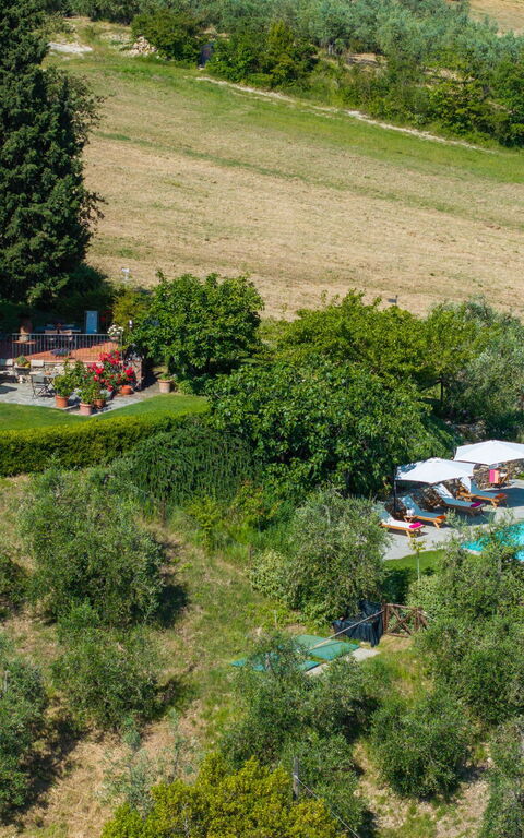 San Guido: Utendørs, Visningar