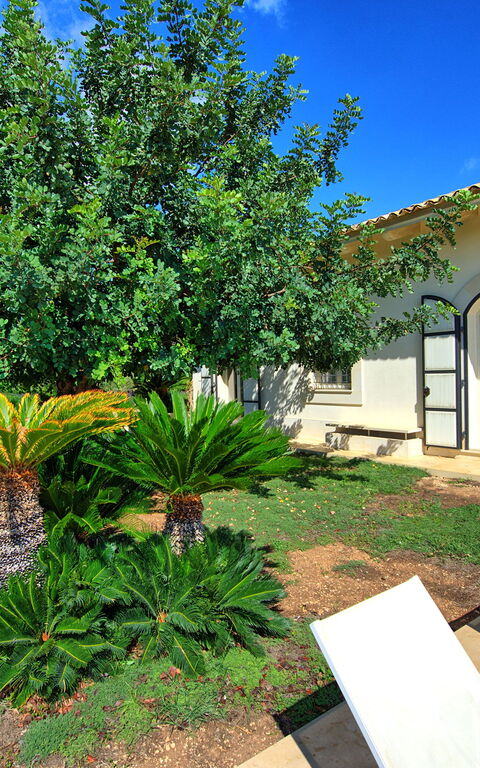 Tenuta Olearum: Hage, Sommer, Utendørs