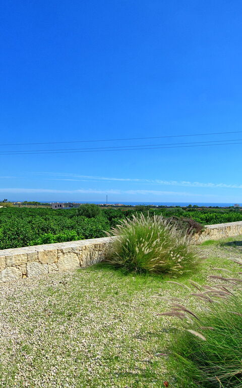 Tenuta Olearum: Hage, Sommer, Utendørs