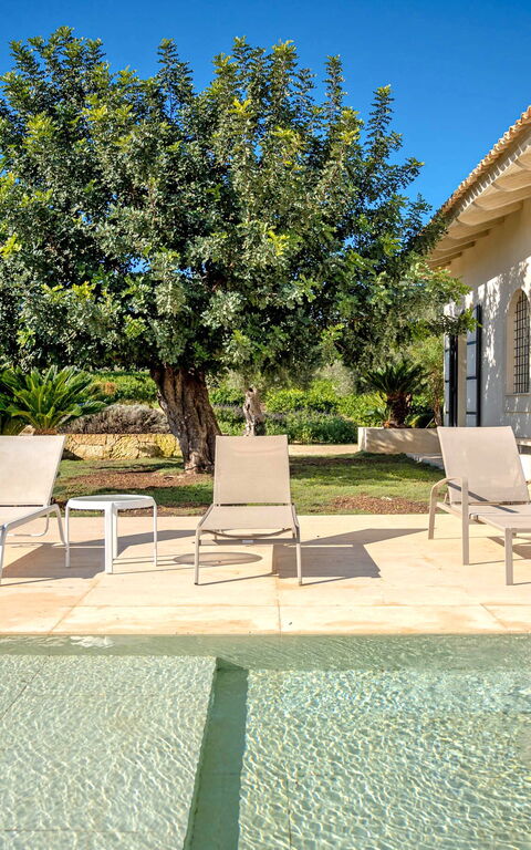 Tenuta Olearum: basseng