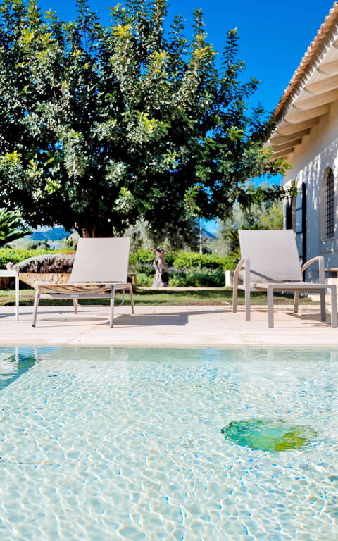 Tenuta Olearum: basseng