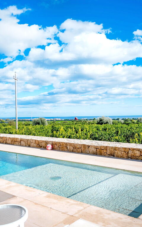 Tenuta Olearum: basseng, Visningar