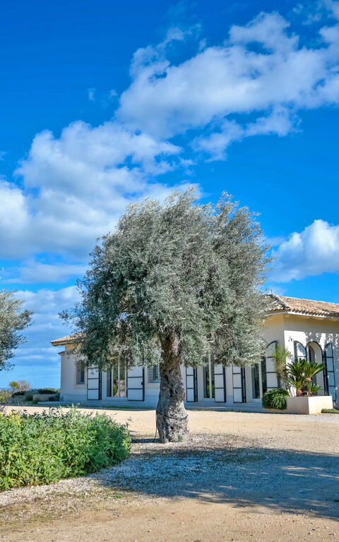 Tenuta Olearum: Hage, Sommer