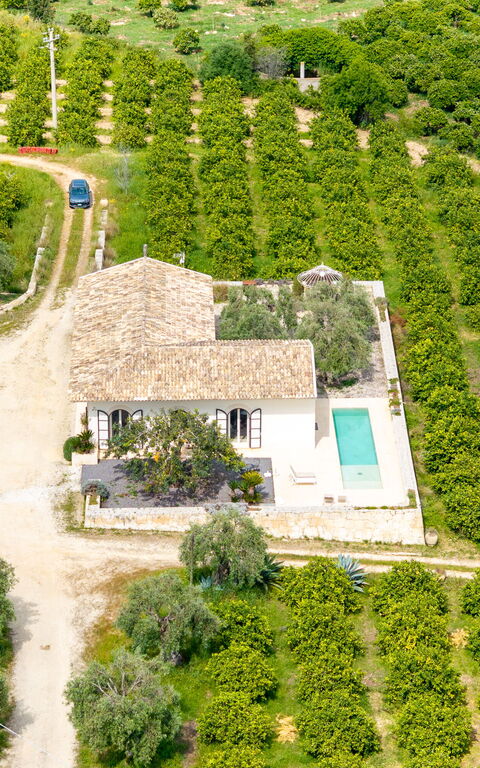 Tenuta Olearum: Visningar