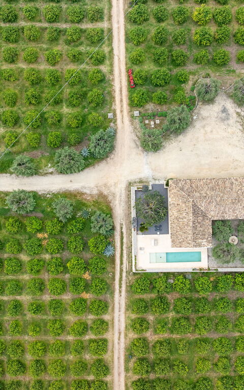 Tenuta Olearum: Visningar