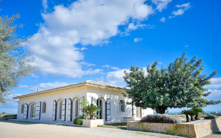 Tenuta Olearum: Hage