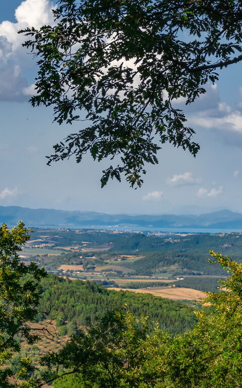 Villa Lucarella: Utendørs