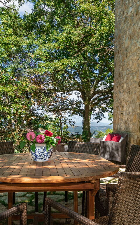 Villa Lucarella: Eksteriør, Hage, Utendørs