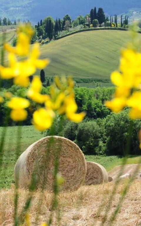 Palazzo Bello: Utendørs