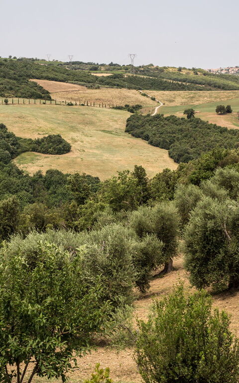 Villa Chiugi: Visningar