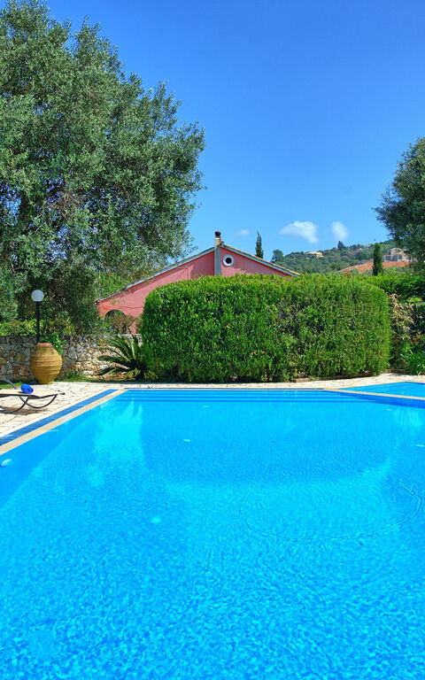 Votana House: basseng