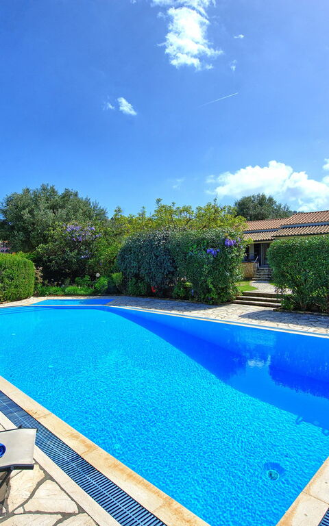 Votana House: basseng