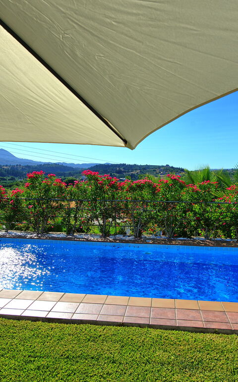 Villa Politini: basseng