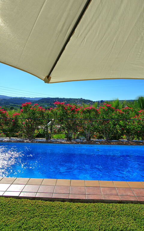 Villa Politini: basseng