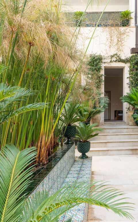 Aurispa: Balkong / terrasse / uteplass, Utendørs