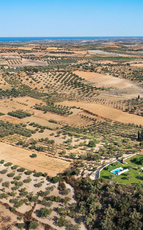 Villa Colleverde: Visningar